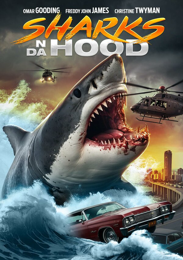 Акулы на районе